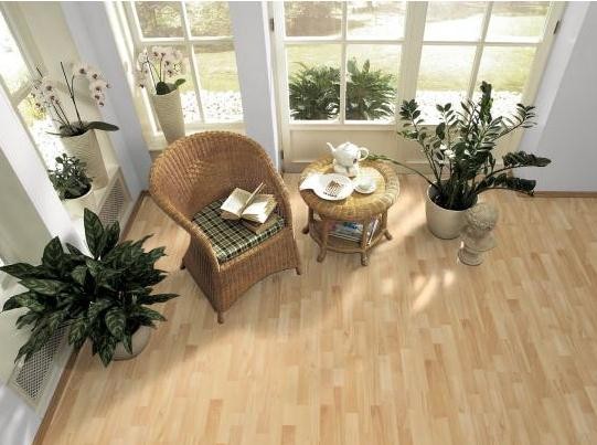 Laminates & Wooden Floors | Sneyd Carpet